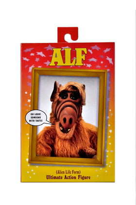 NECA ALF front-box view showing collectible packaging and display benefit