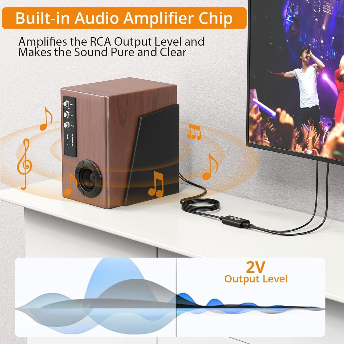 Neoteck plug-and-play DAC with RCA output for easy home setup.