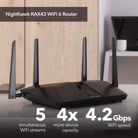 Back ports layout of NETGEAR Nighthawk RAX43 for wired connections and expansion.