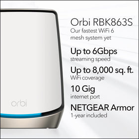NETGEAR Orbi RBK863S router rear ports highlight multi-gig connectivity and easy setup
