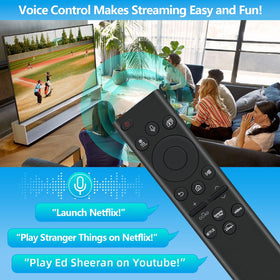 Nettech detailed button layout highlighting voice and media controls