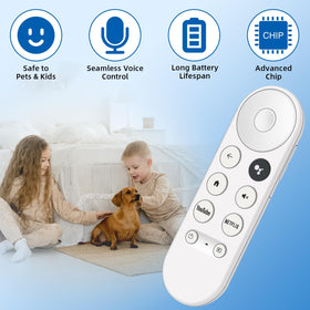Nettech remote in pairing steps shown for smooth Chromecast setup.