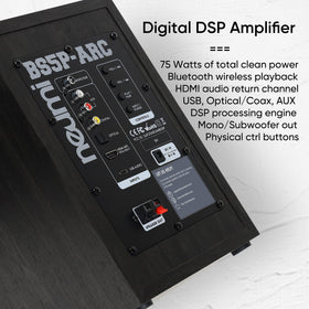 Pair on a shelf with a TV for living room audio.
