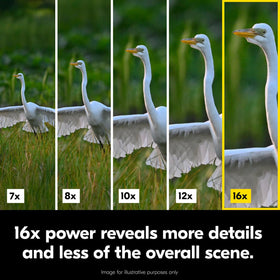 Nikon Action 16x50 rubber armoring provides a secure, durable grip