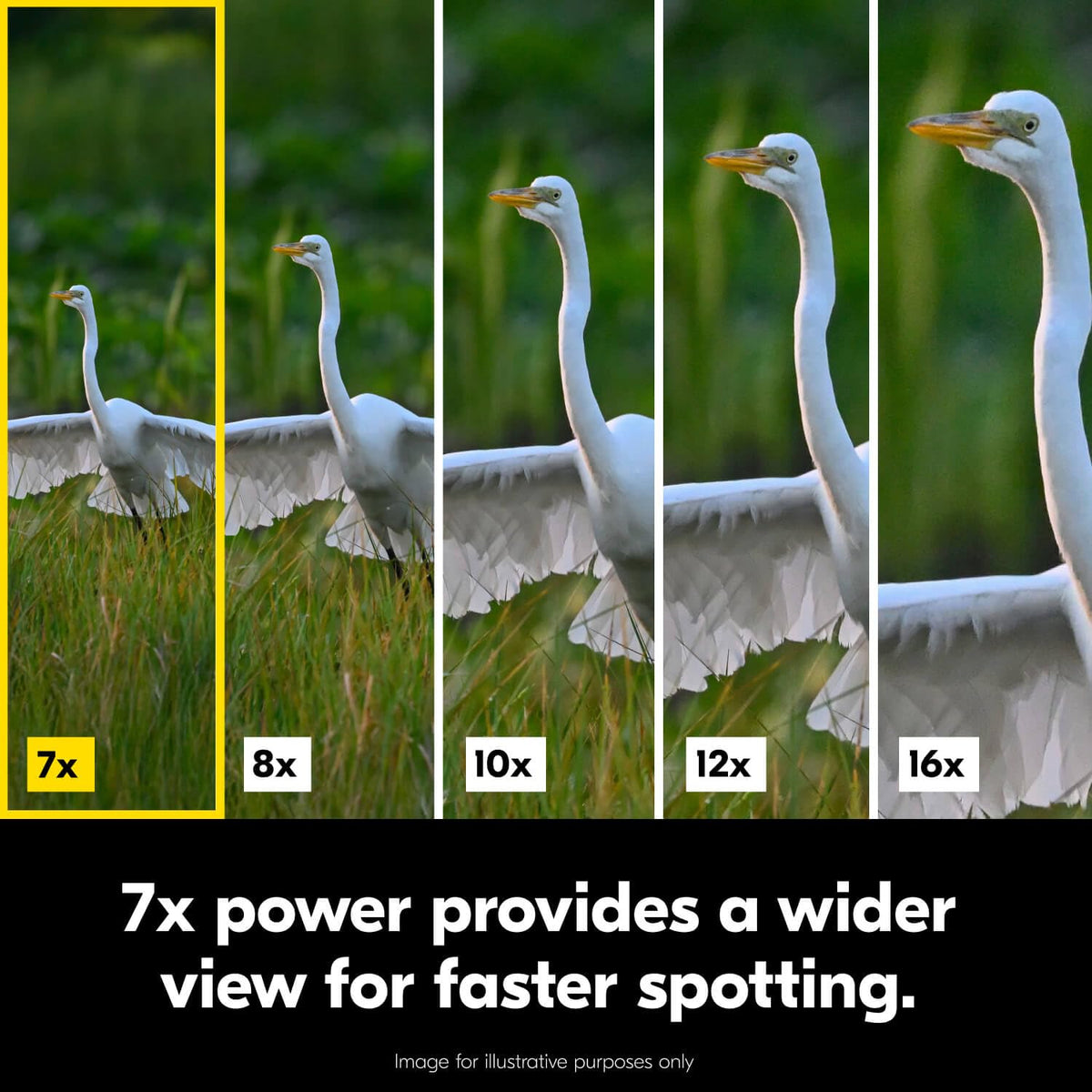 Nikon Action 7x50 porro-prism design delivers bright immersion in varied lighting