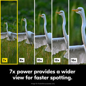 Nikon Action 7x50 porro-prism design delivers bright immersion in varied lighting