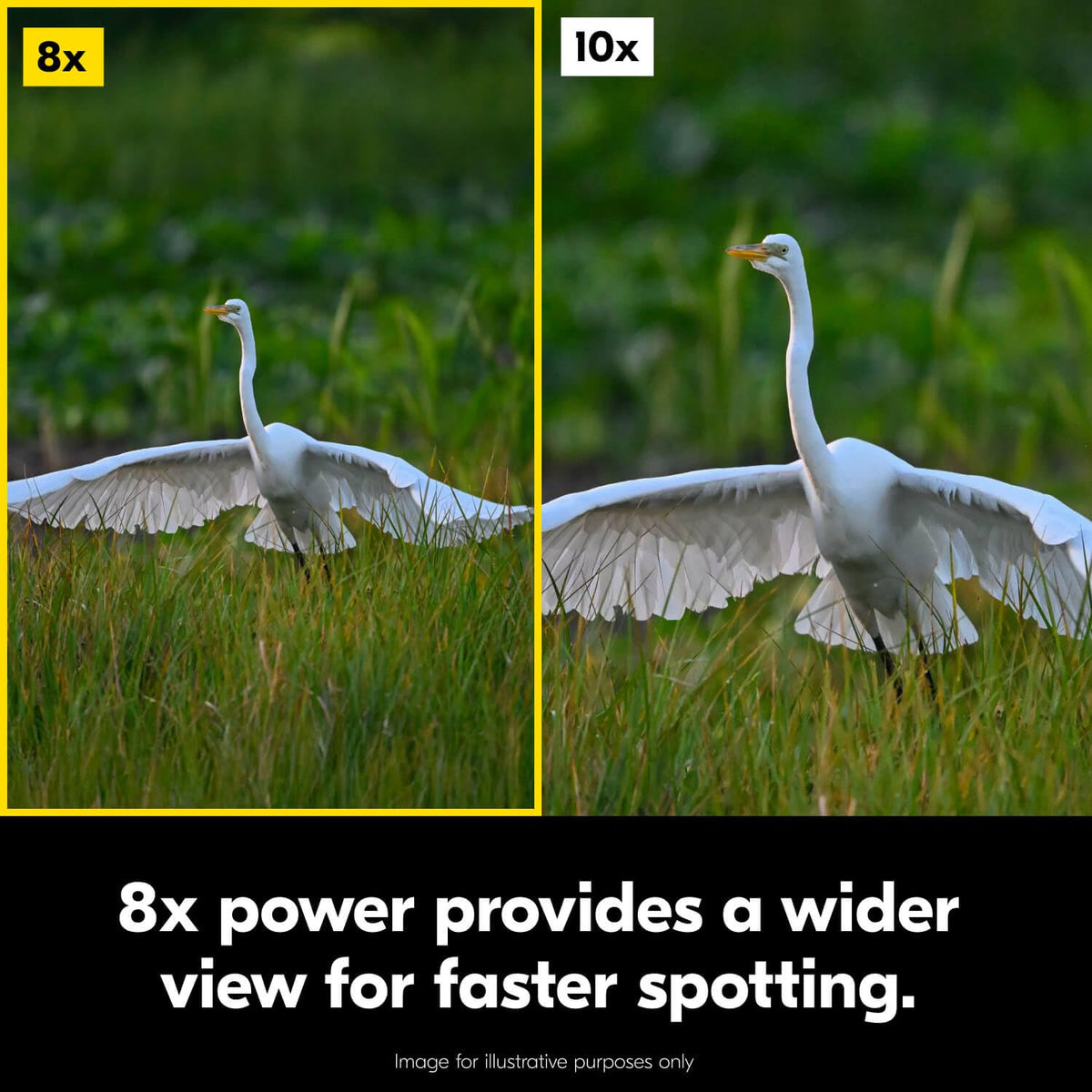 Nikon Action 8x42 long eye relief supports eyeglass wearers with full view