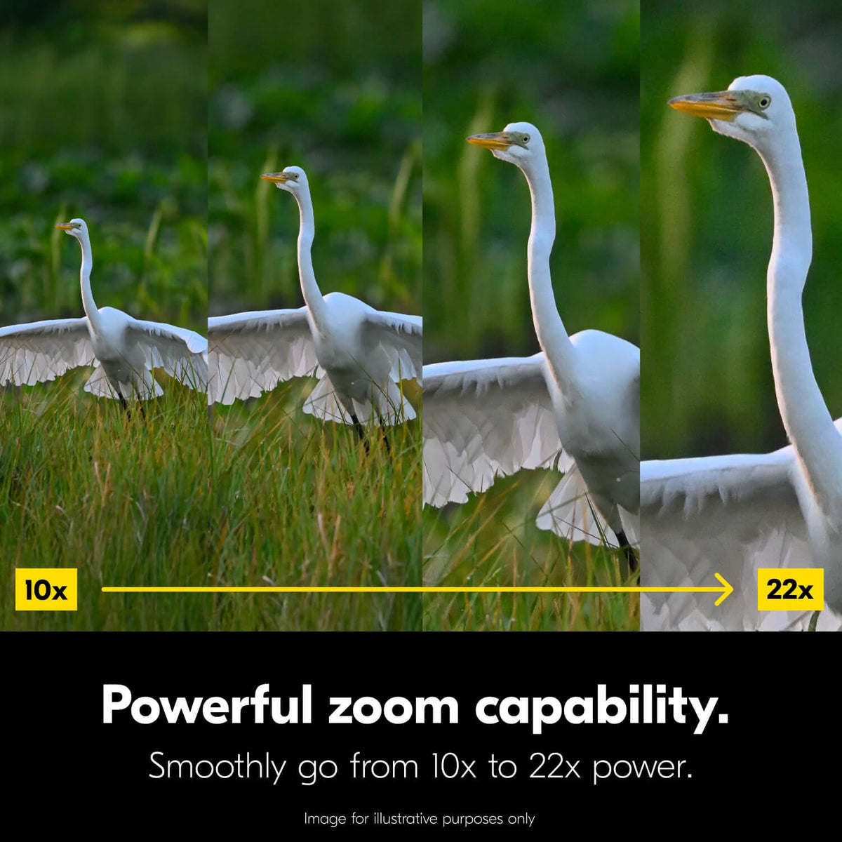 Nikon Action Zoom 10-22x50 binocular eyecups for easy eye positioning
