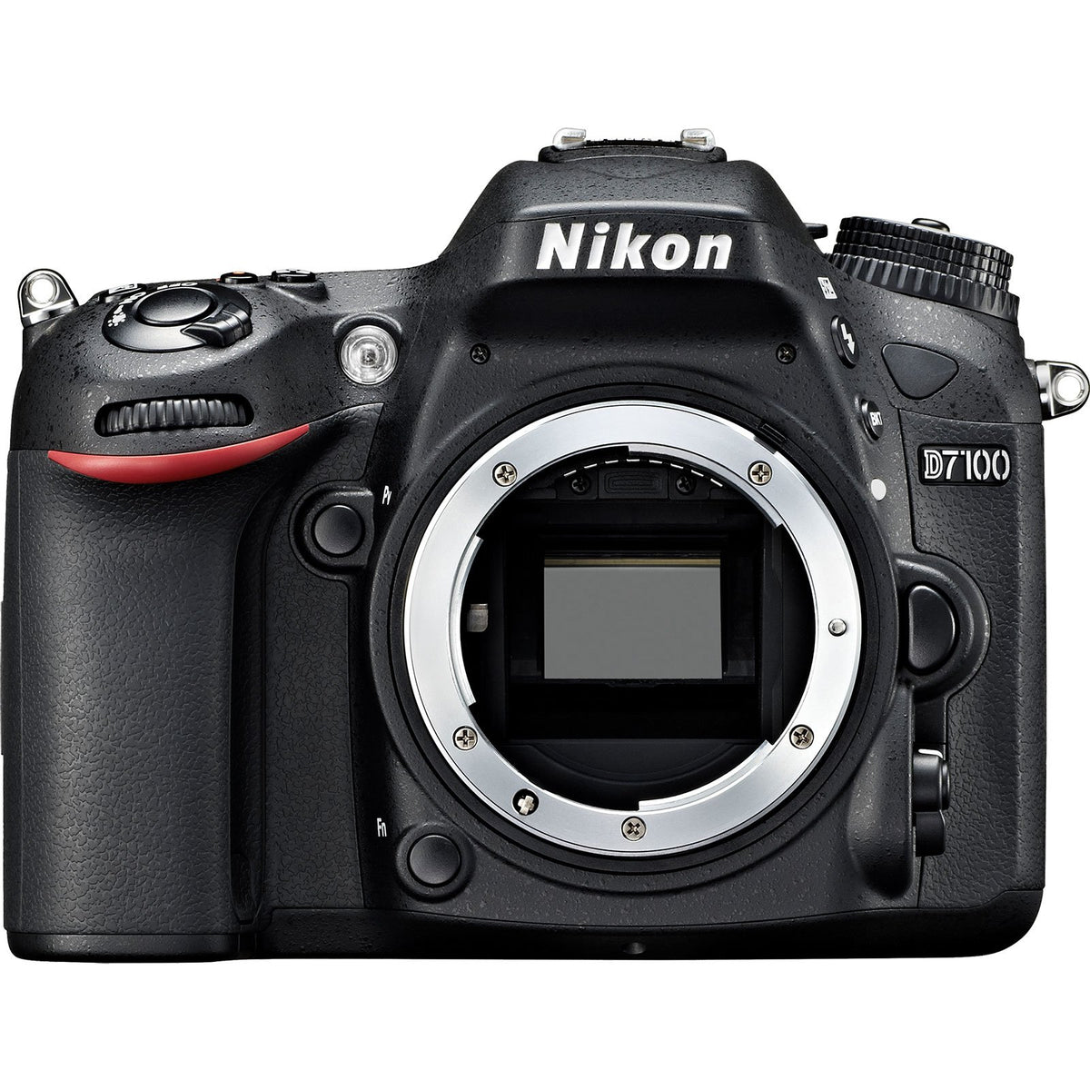 Nikon D7100 DX 24.1 MP sensor delivers sharp, lifelike images