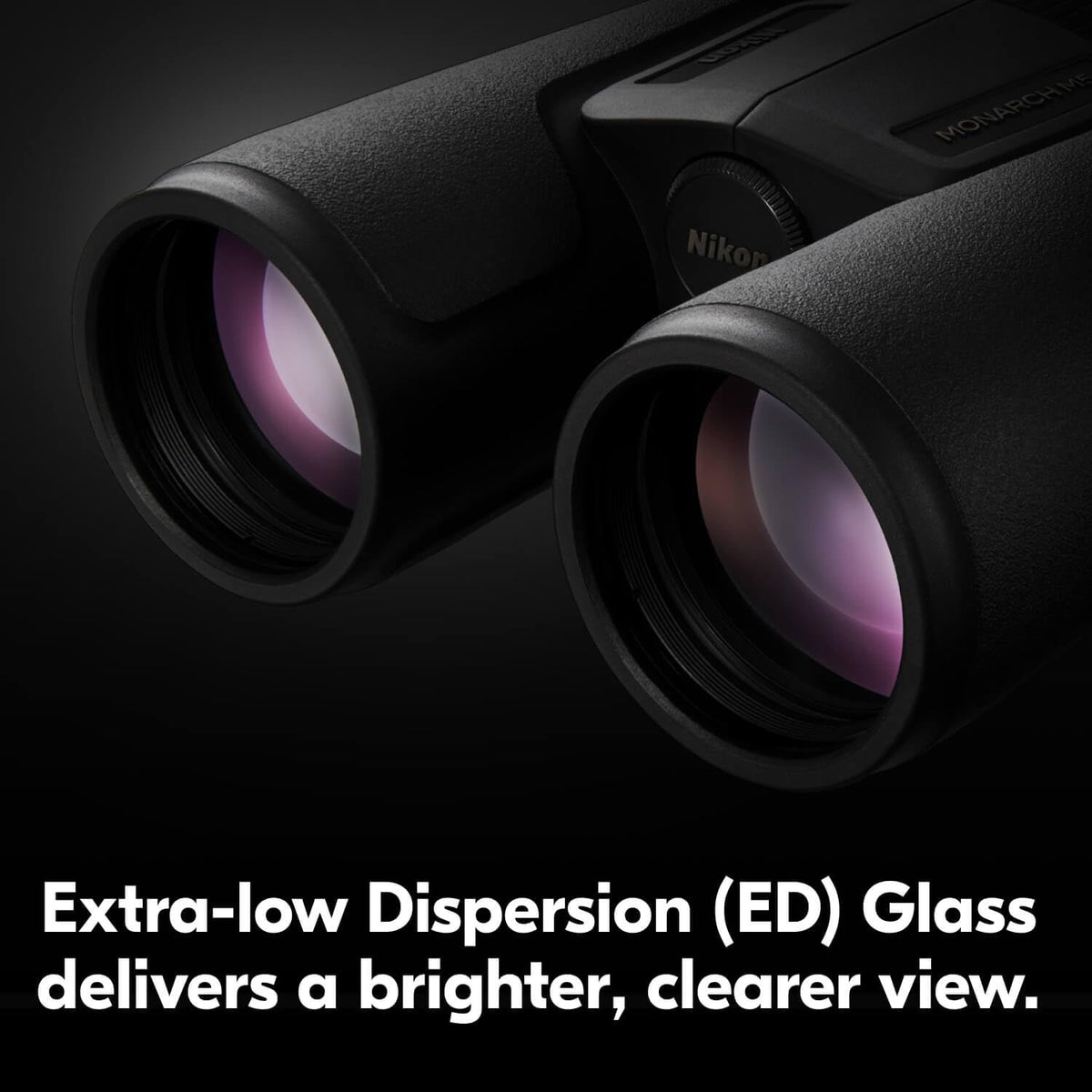 Nikon Monarch M5 12x50 excels in low light for dawn or dusk wildlife viewing.