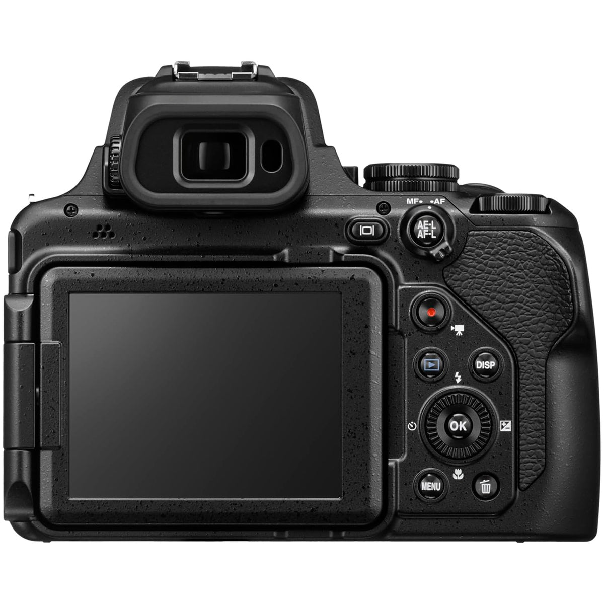Nikon P1100 bundle with Deco Gear case for travel protection