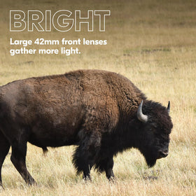 Nikon PROSTAFF P3 objective lenses gather light for bright images.