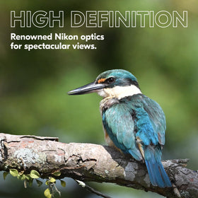 Nikon PROSTAFF P3 wide field of view helps locate wildlife quickly.
