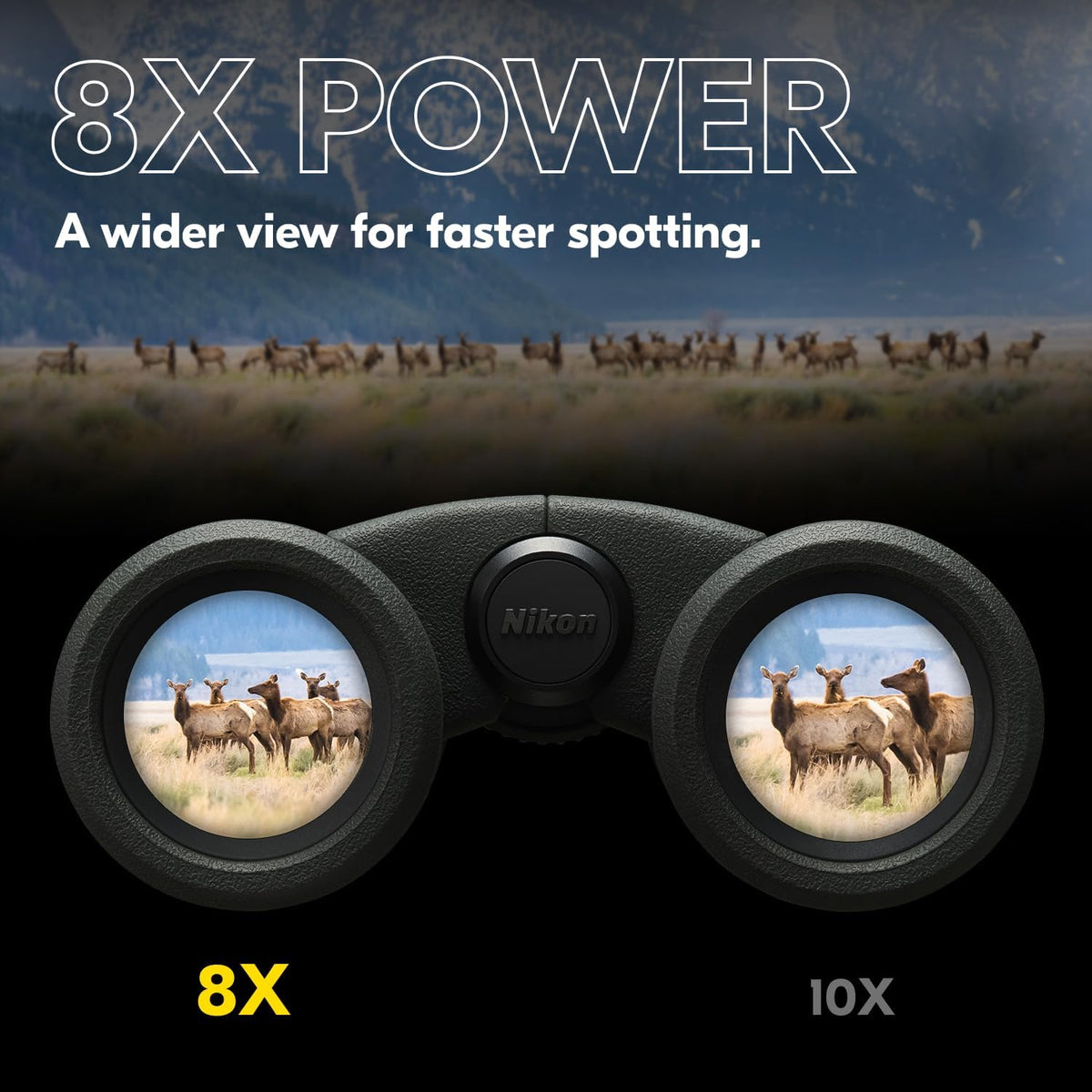 Nikon PROSTAFF P3 8x30 binoculars view through lens showing wide field, ideal for birding.