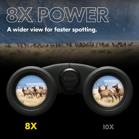 Nikon PROSTAFF P3 8x30 binoculars view through lens showing wide field, ideal for birding.