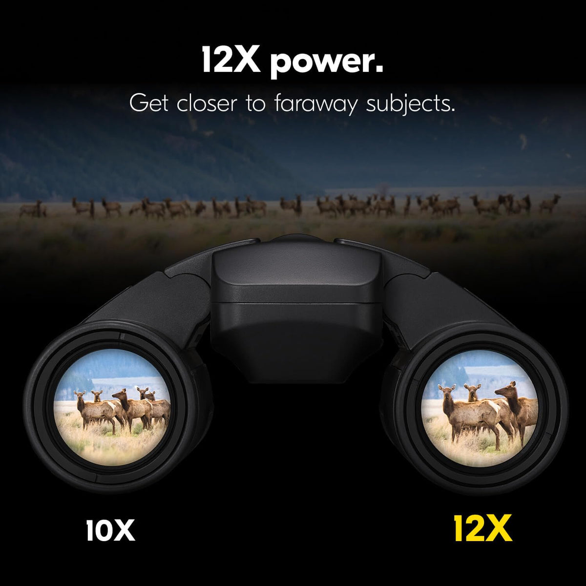 Nikon Stabilized 12x25 binoculars eyecups and center wheel for easy use