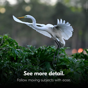 Nikon Stabilized 12x25 binoculars image stabilization demo for crisp distant subjects