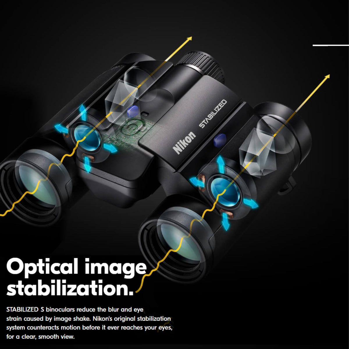 Nikon stabilized binoculars 10x25 S side hinge highlight compact fold.