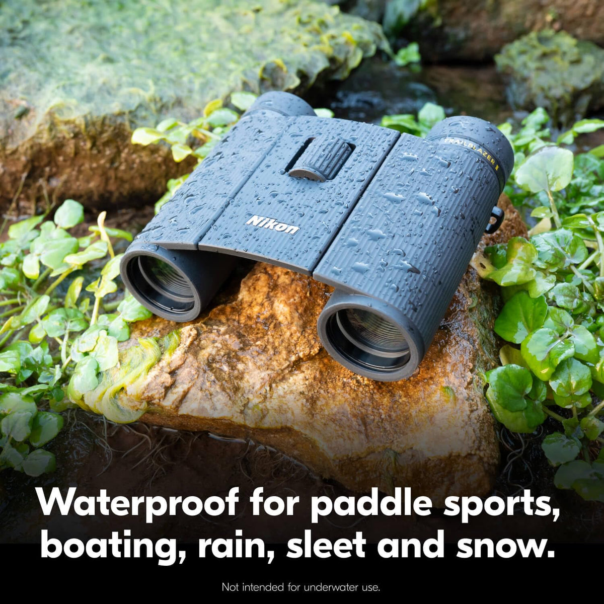 Nikon Trailblazer II 8x25 wildlife-view supports distant detail detection.