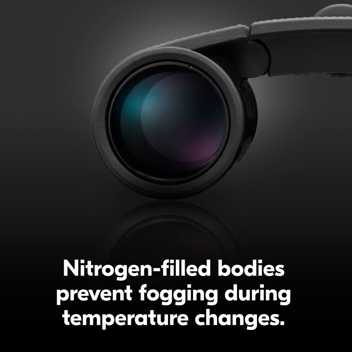 Nikon Trailblazer II city-skyline view for immersive urban panorama moments.