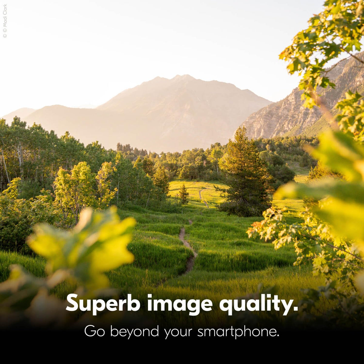 Nikon Z 30 flip-out screen in action for precise framing.
