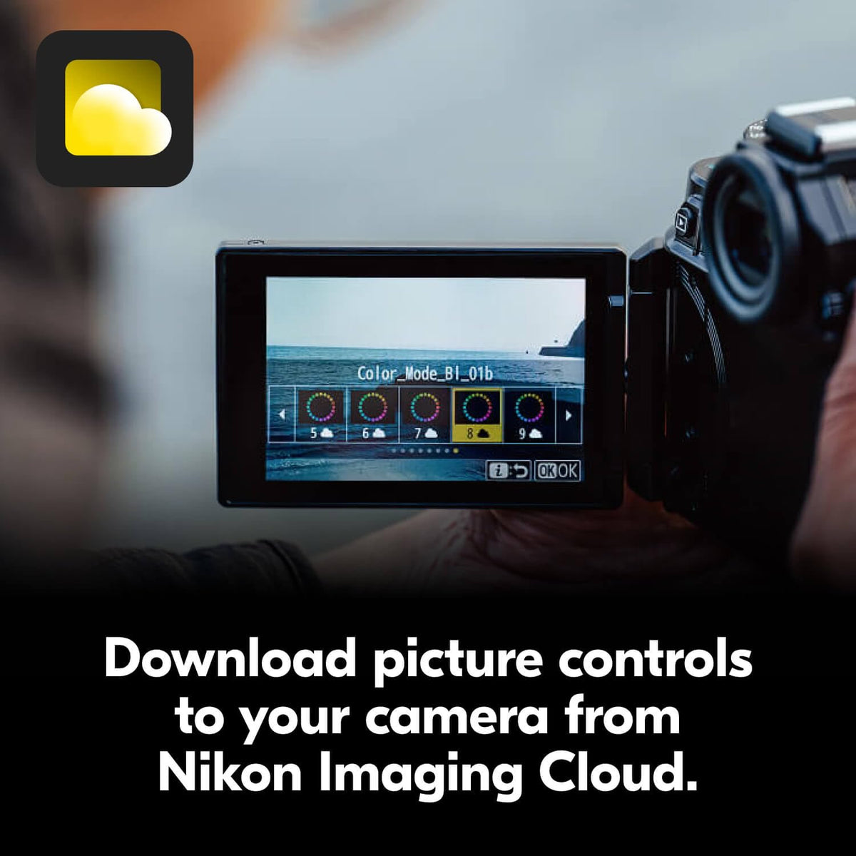 Nikon Z 30 box and limited warranty information.