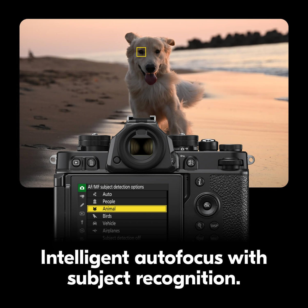 Nikon Z f 3D tracking AF indicators on the frame.