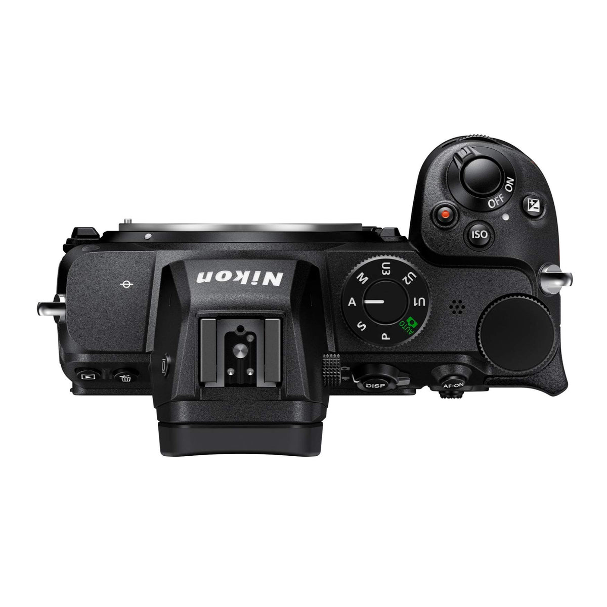 Nikon Z 5 5-axis IBIS stabilizes handheld shots in low light.