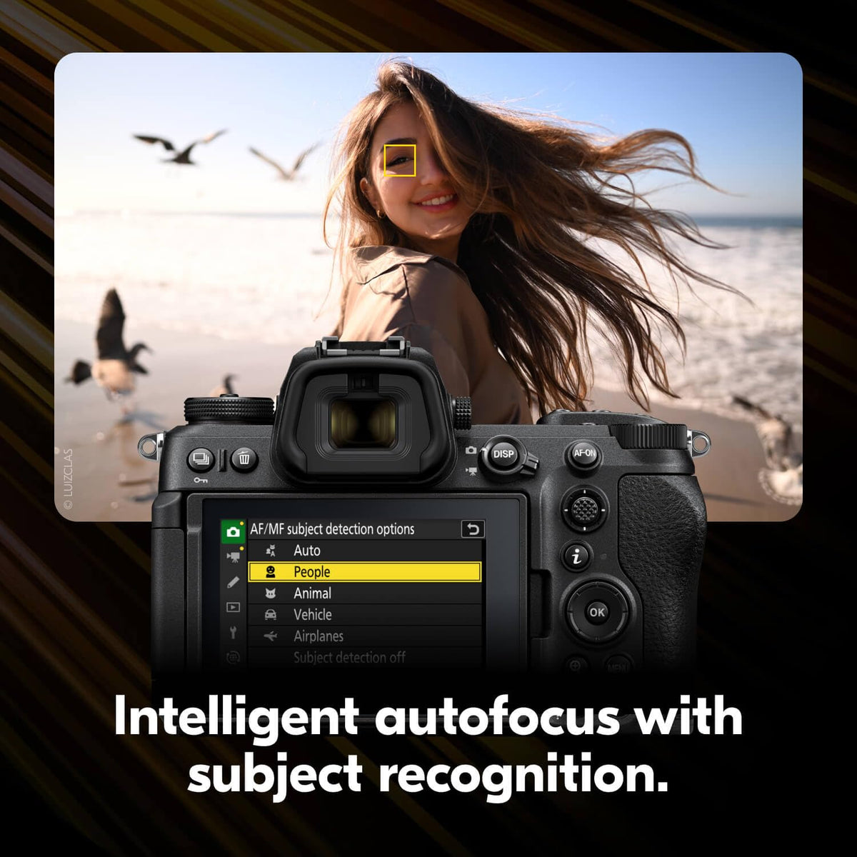 Nikon Z6 III EVF bright view demonstrates clear framing in bright conditions