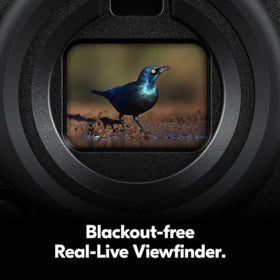 Nikon Z 9 ProRes HQ output enables high-quality in-camera editing.