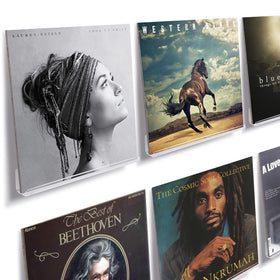 NIUBEE clear vinyl record shelf wall mount showing records without covering artwork.