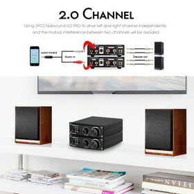 Nobsound G2 PRO rear connections with RCA and speaker terminals for flexible setup