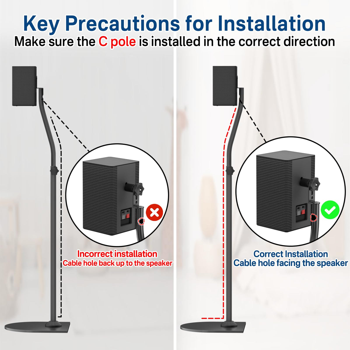 notiela scale comparison with speaker showing correct height and fit