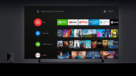NVIDIA Shield TV Pro voice control with Google Assistant.