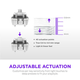 NZXT Function Elite MiniTKL Black back view hints at sturdy construction