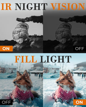 OLESIT versatile vlogging features include time-lapse and motion detection.