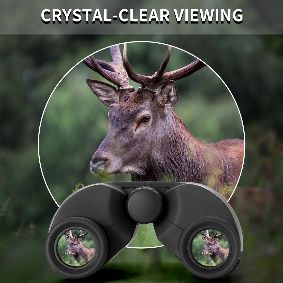 OLIMT 6x25 objective lens close-up highlighting ED glass clarity