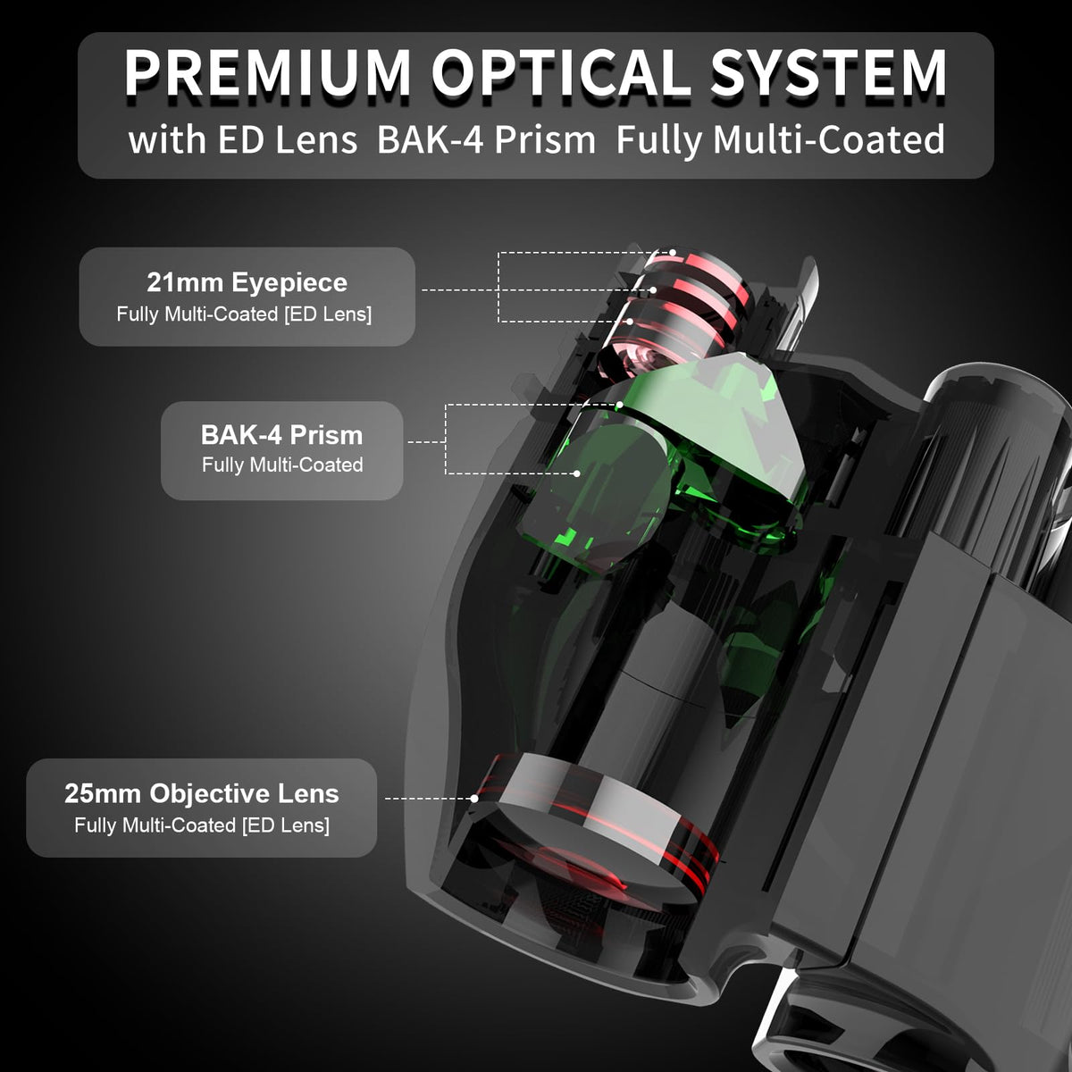 OLIMT ED lens clarity enables bright daytime observations.