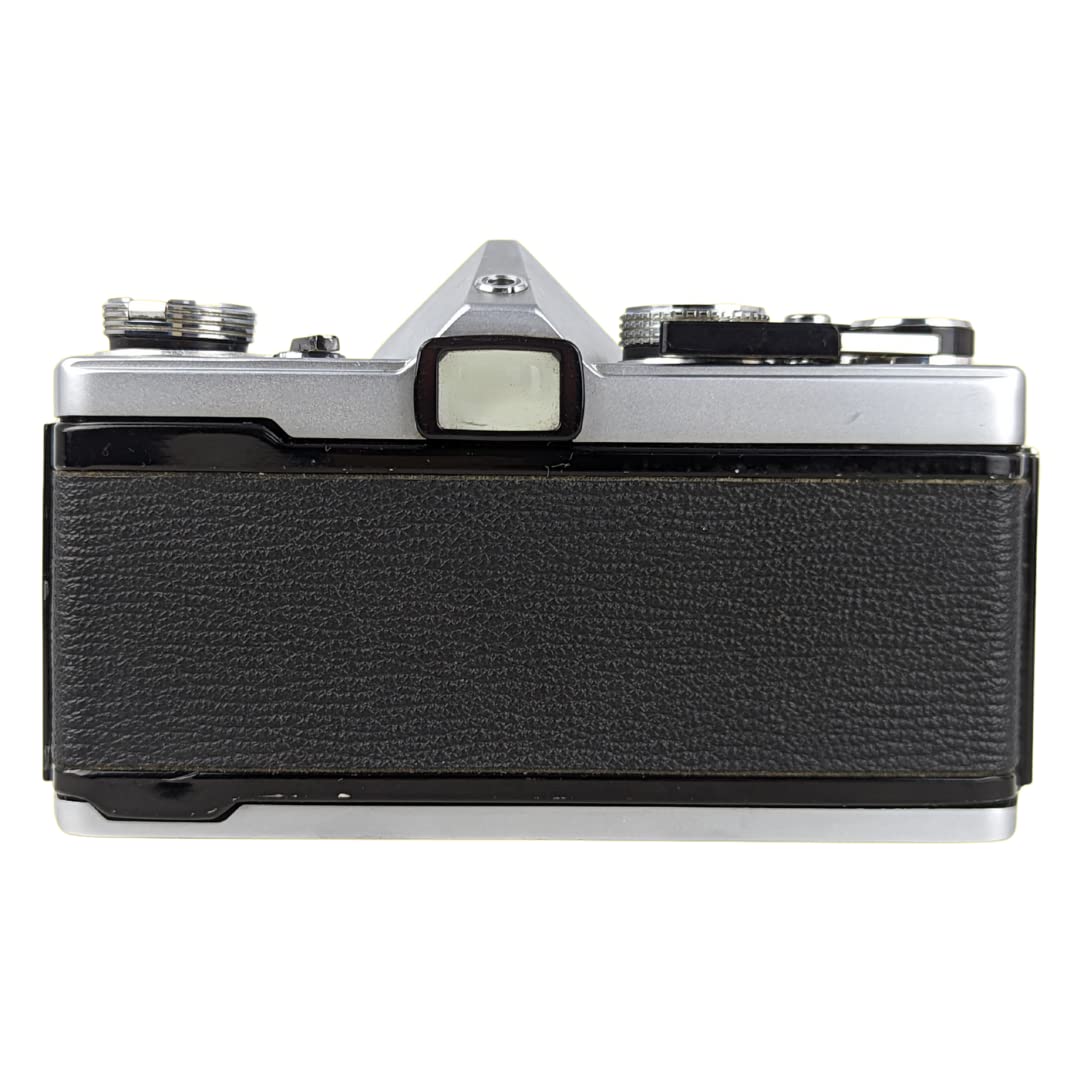 Olympus OM-1 rear panel and viewfinder for classic composition.