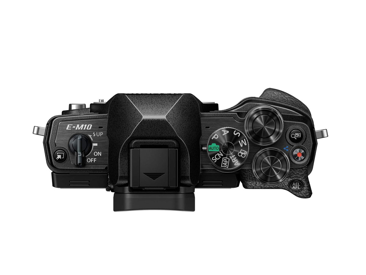 OM SYSTEM E-M10 Mark IV 20MP sensor delivers sharp detail