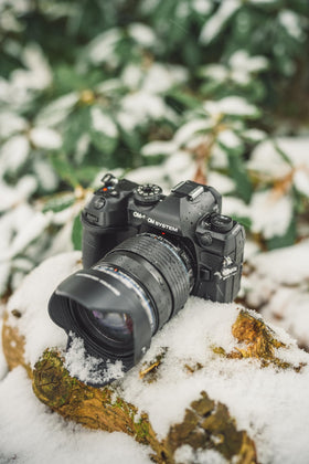 OM System OM-1 Mark II weather-sealed body in rain demonstrates durability and reliability.