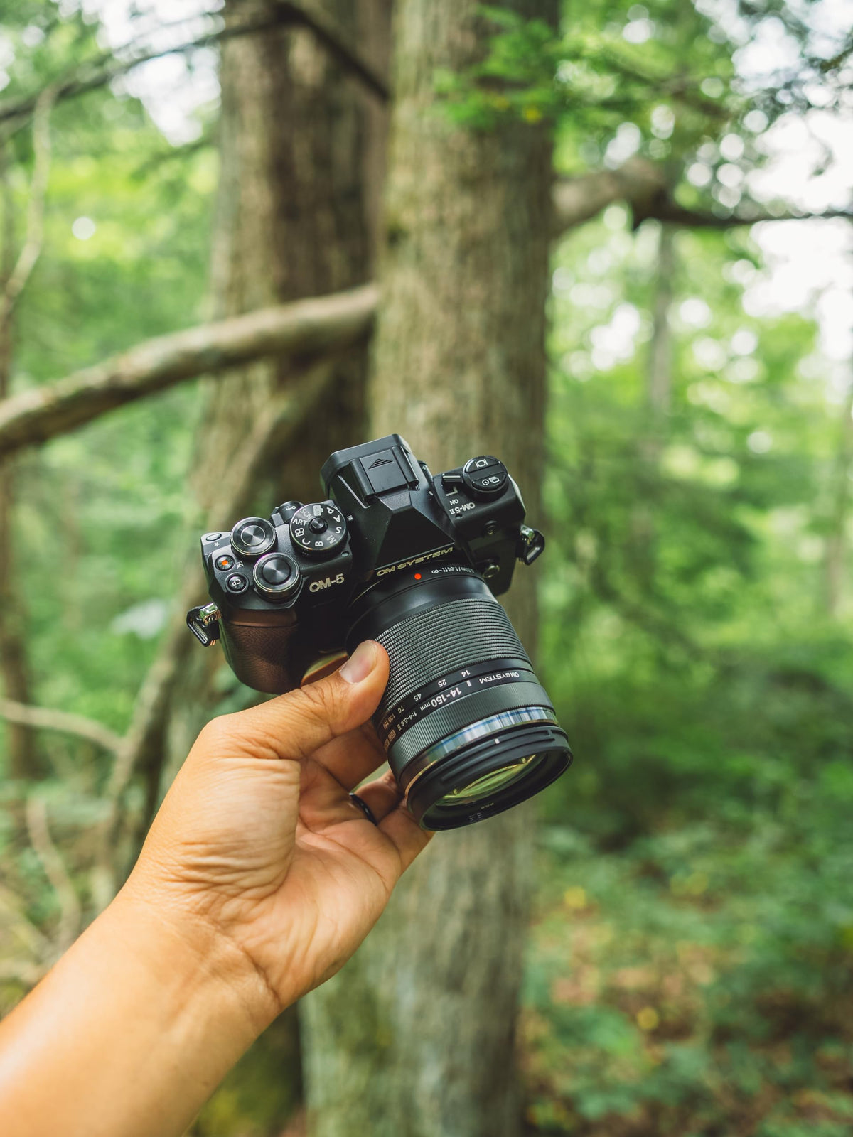 OM SYSTEM OM-5 Mark II with M.ZUIKO Digital 14-150mm II lens, versatile travel zoom