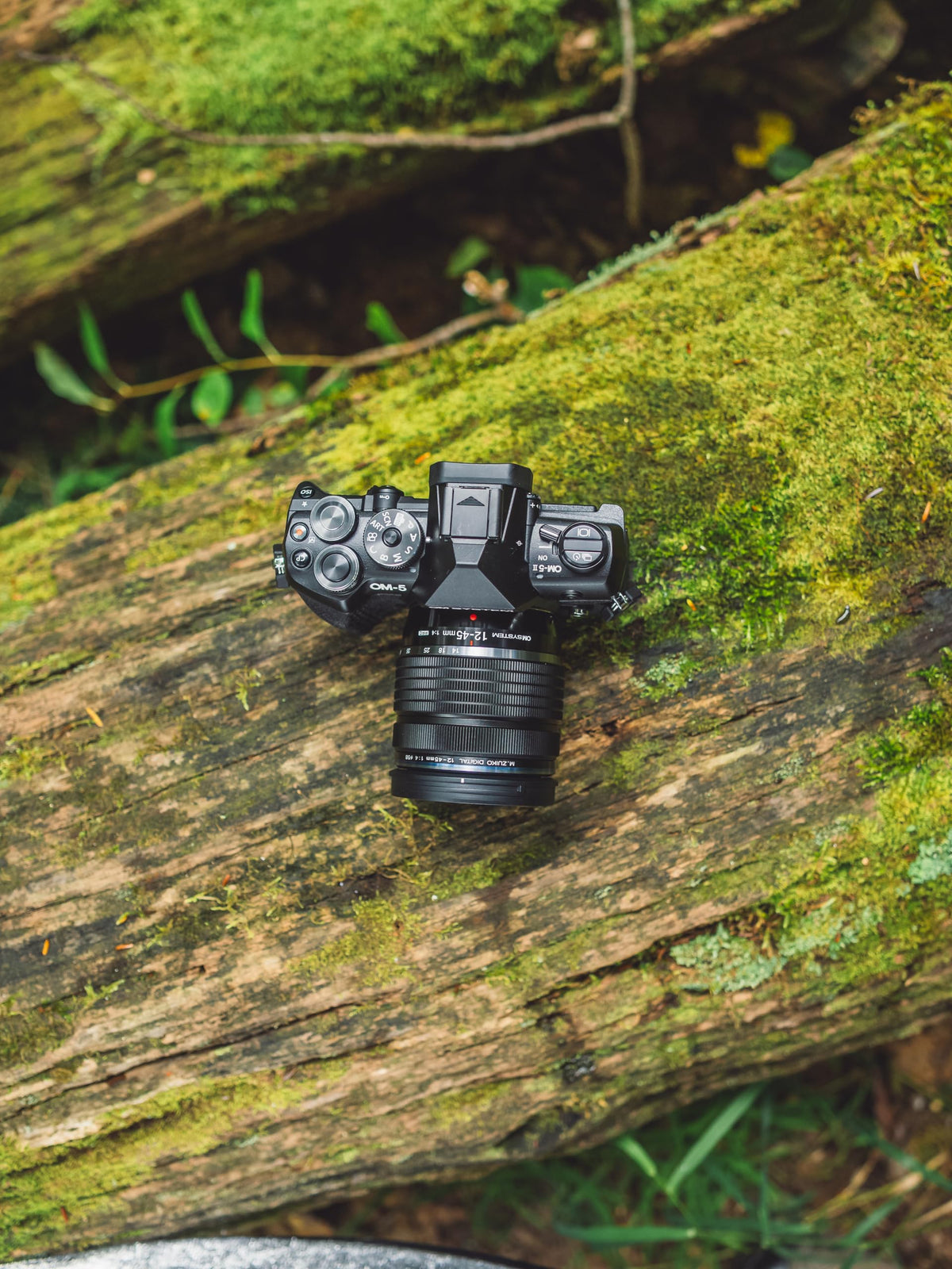 OM SYSTEM OM-5 Mark II in a rugged outdoor setting highlighting weather sealing.