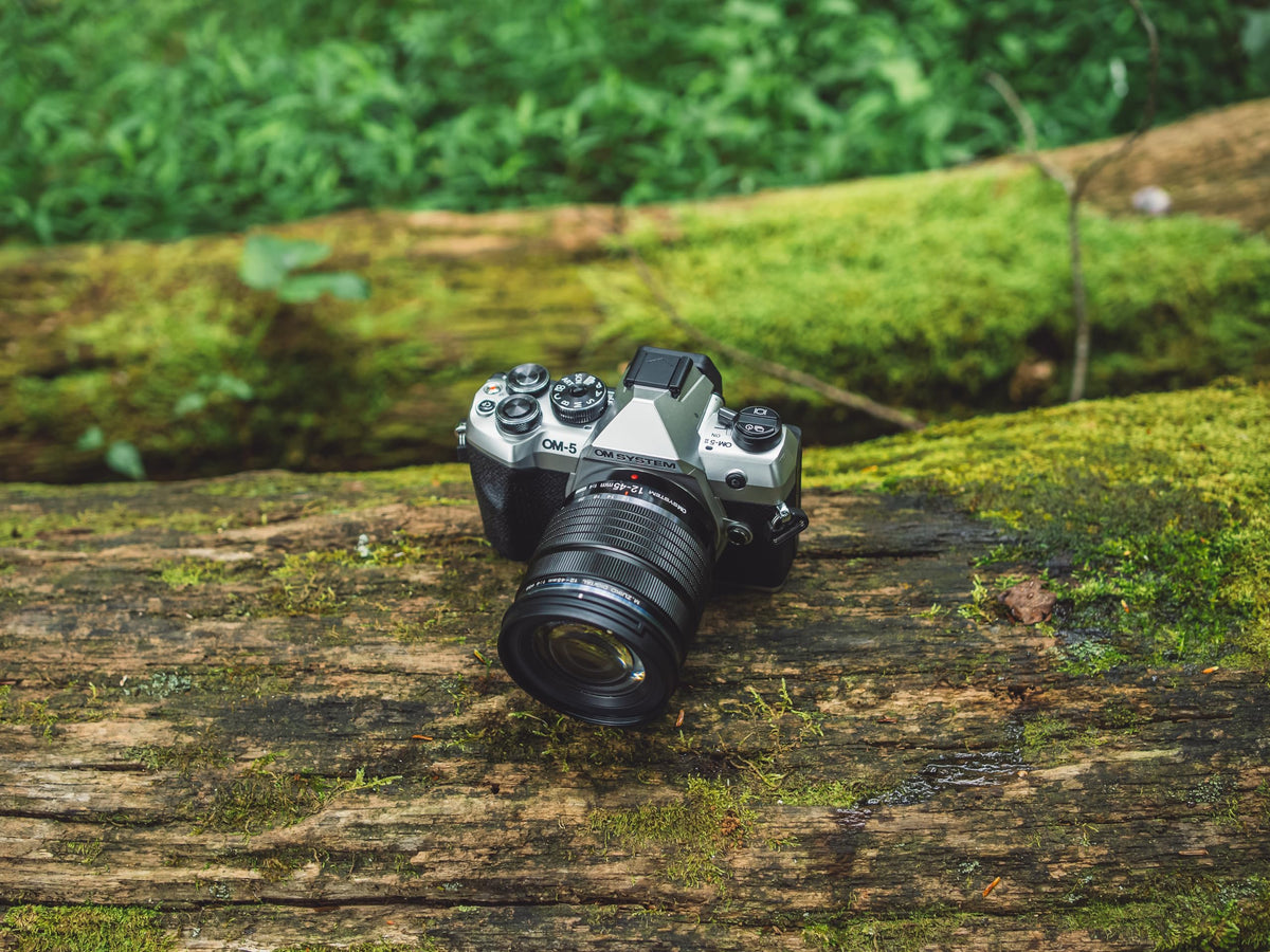 OM SYSTEM OM-5 Mark II lightweight body boosts portability for long shoots.