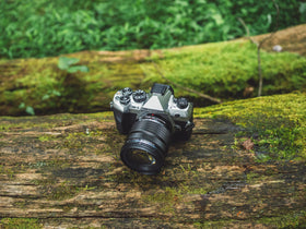 OM SYSTEM OM-5 Mark II lightweight body boosts portability for long shoots.