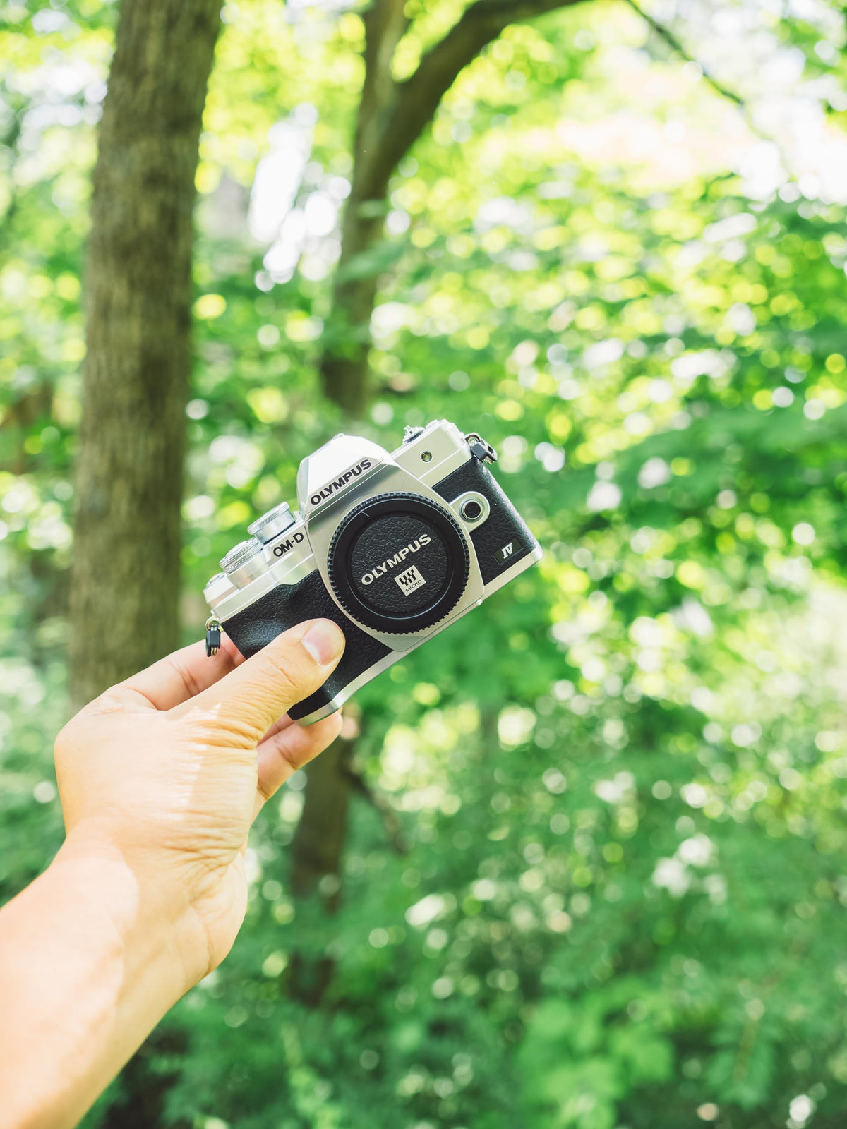 OM SYSTEM OM-D E-M10 Mark IV selfie mode activates when the screen flips down