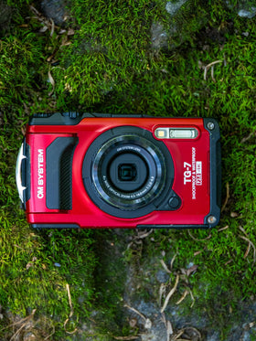 OM SYSTEM TG-7 red underwater scene showcases waterproofing for vibrant imagery.
