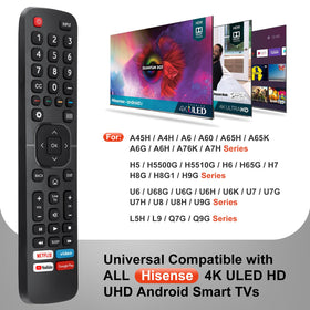 OMAIC compatibility with many Hisense models for reliable backup control.