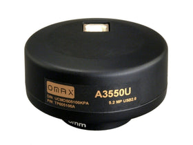 OMAX calibration slide 0.01 mm for accurate scaling.