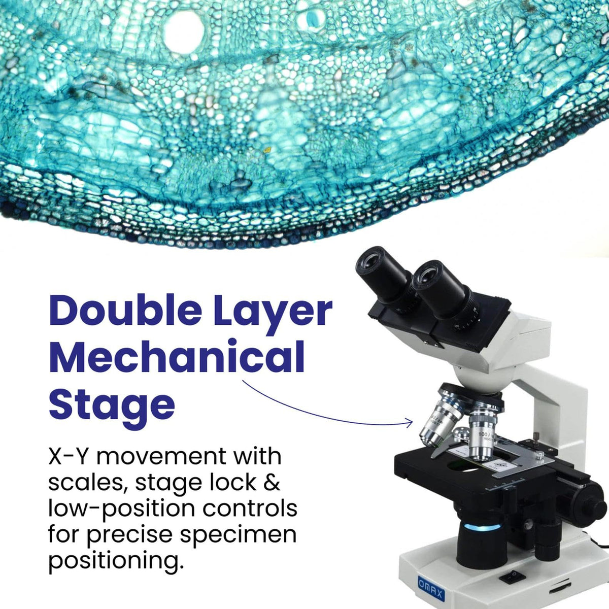OMAX M82ES coaxial coarse and fine focus knobs allow precise adjustments on both sides.
